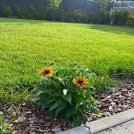 Garden Daire *